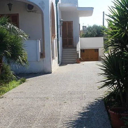 Trilo Sole Anteriore *